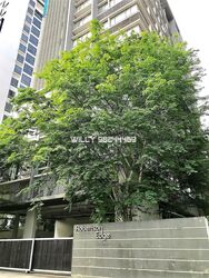 Robertson Edge (D9), Apartment #298262561